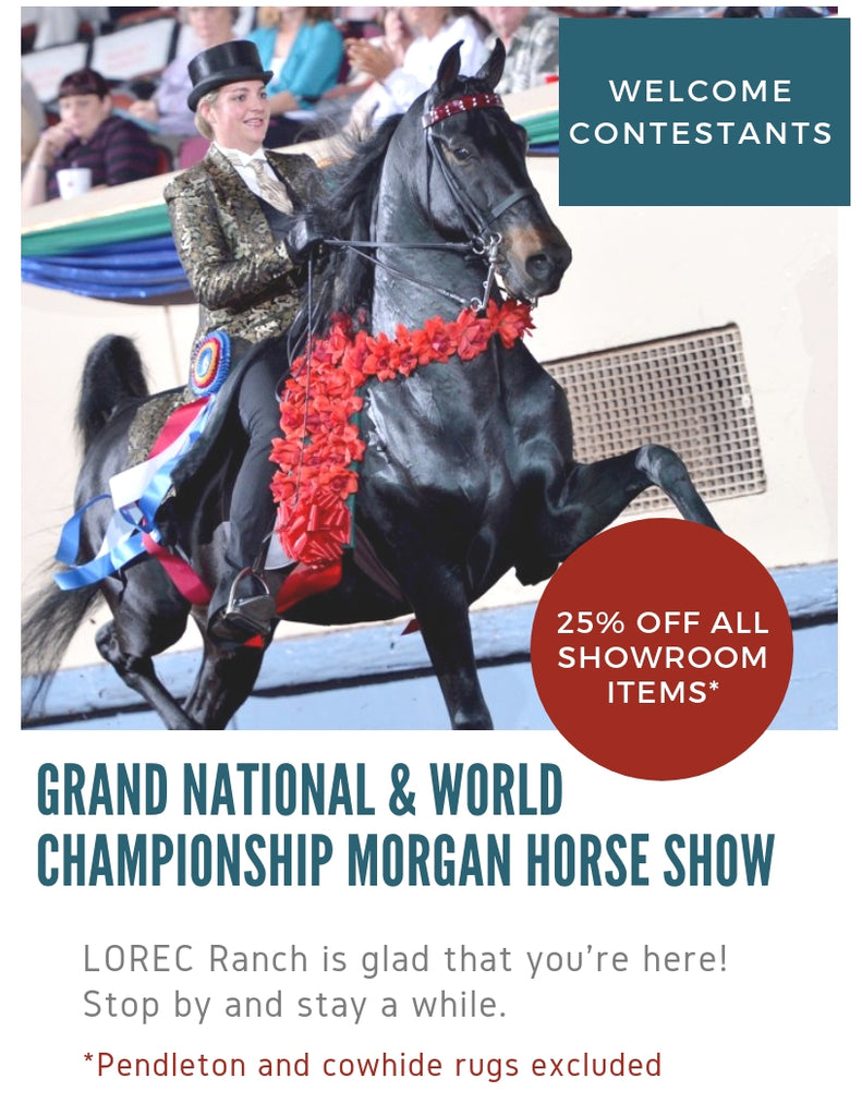 2018 Morgan Horse Show Championships