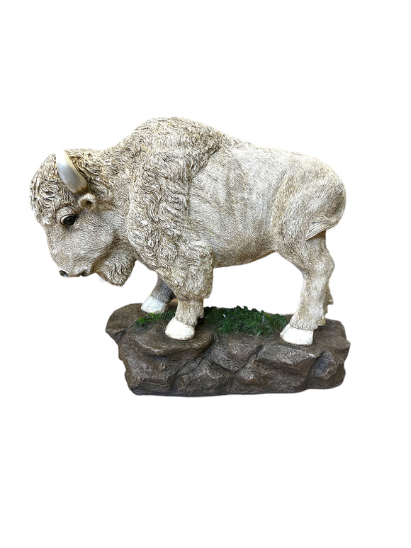 Brown and White Buffalos on Rock