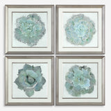 Natural Beauties Framed Prints