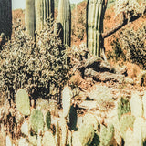 Saguaro Cacti Print - LOREC Ranch Home Furnishings