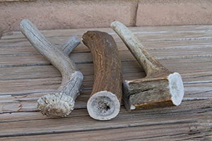 Antler Dog Chew