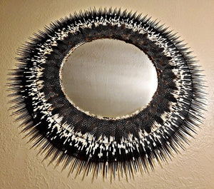 Country Mirror With Porcupine Quills And Guinea Feathers Large