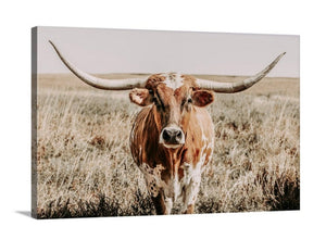 Longhorn on Canvas