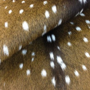 Chital Axis Deer Hide