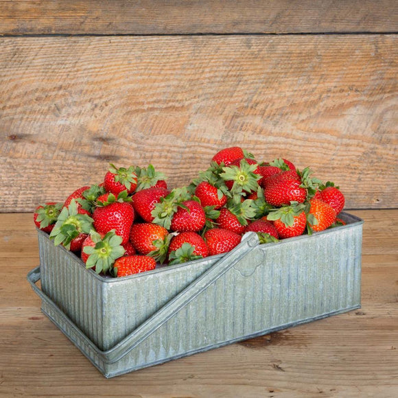 Large Strawberry Basket