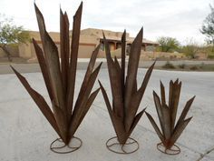 Sm Agave Metal