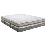 Twin Xl Anniversary Mattress