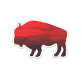 Buffalo Sticker